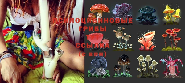 МДПВ Волосово