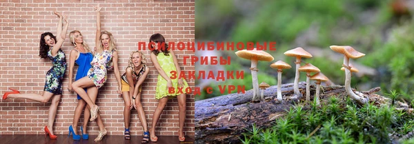 ECSTASY Володарск